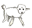First sheep