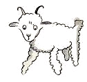Second sheep